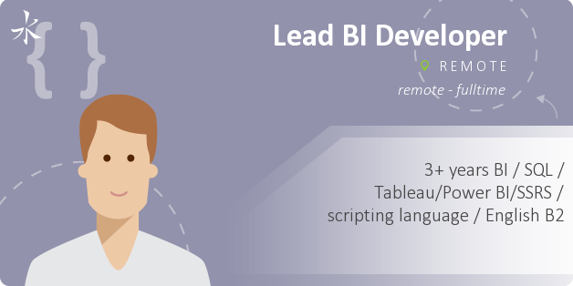 Lead BI Developer