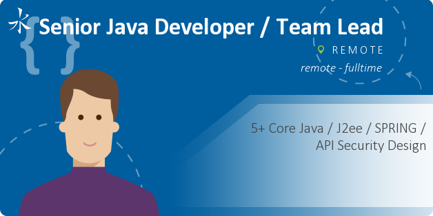 Senior Java Developer / Team Lead
