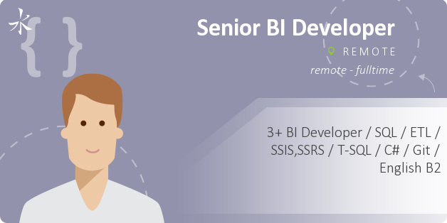 Senior BI Developer