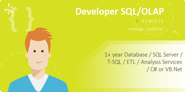Developer SQL/OLAP