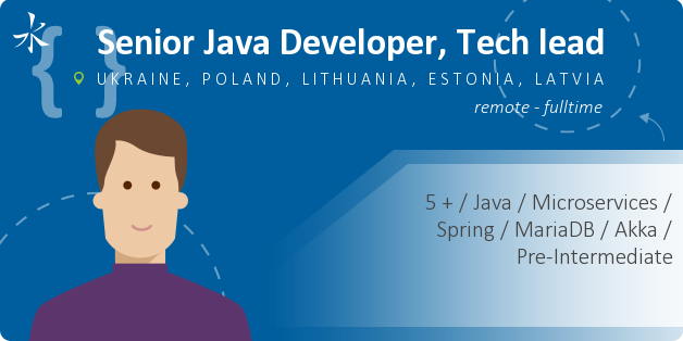 Senior Java Developer, Tech lead