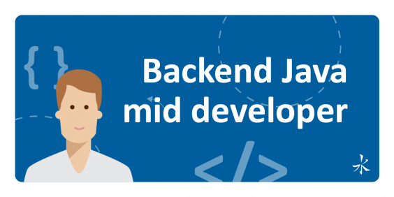 Middle Java BackEnd Developer